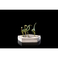 Iron Studios Jurassic World - Compsognathus Icons Statue