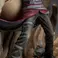 HEX Collectibles Naruto Shippuden- Gaara Ultimate Diorama Statue 1/8 scale Limited Edition