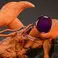 HEX Collectibles Naruto Shippuden -Battle of Destiny: Namikaze Minato vs Kurama 1:8 scale Statue Limited Edition