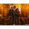 Iron Studios Harry Potter  - Ron Weasley Statue Art Scale 1/10
