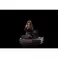 Iron Studios HARRY POTTER - Hermione Granger with Polyjuce Statue 1/10