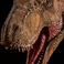 Infinity Studio Jurassic World Dominion - Tyrannosaurus Rex Bust Wall Mounted + Display stand