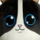 WP MERCHANDISE - Bunny Khrum Plush toy, 20 cm