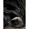 Weta Workshop The Dark Crystal (1982) - Landstrider Limited Edition Statue  Scale 1/6