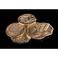 Weta Workshop Το Χόμπιτ - Θήκη θησαυρού του Smaug 5 σετ νομισμάτων