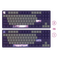 Dark Project One - 87 Violet Horizons RGB ANSI (ENG/UA)