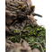 Weta Workshop Trilogía de El Señor de los Anillos - Leaflock the Ent Estatua de edición limitada a escala 1:6