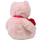 Plush toy WP MERCHANDISE Bear Ellie with a heart 21cm