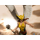 Iron Studios DC Comics - Statua di Hawkgirl Deluxe Art Scale 1/10