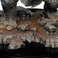 Weta Workshop Il Signore degli Anelli - Statua in miniatura del Troll delle Caverne