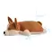 Peluche WP MERCHANDISE Corgi Emma 48 cm