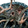 Weta Workshop Der Herr der Ringe - Wächter im Wasser Miniatur-Statue 