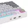 Royal Kludge N80 Linear 80K Pearly Dawn - RGB ANSI (ENG) wireless