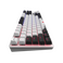 Dark Project One - 87 Fuji - RGB ANSI (ENG)