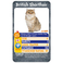 Winning Moves Cats - Top Trumps Board Game