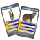 Winning Moves Cats - Juego de mesa Top Trumps