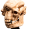 Weta Workshop El Señor de los Anillos - Cráneo de un trol de las cavernas en miniatura