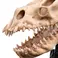 Weta Workshop Lord of the Rings - Skull of a Fell Beast Minuature
