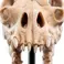 Weta Workshop Lord of the Rings - Skull of a Fell Beast Minuature