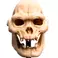 Weta Workshop Lord of the Rings - Skull of Lurtz Minuature