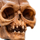Weta Workshop Lord of the Rings - Skull of Gollum Minuature