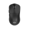 VGN Dragonfly F1 PRO Gaming Mouse (Black)