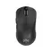 VGN Dragonfly F1 PRO Gaming Mouse (Black)