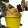 Weta Workshop GREMLINS (1984) - Stripe Mini Epics Figure