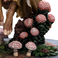 Weta Workshop The Dark Crystal (1982) - Kira The Gelfling Premium Statue w skali 1:6
