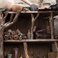 Weta Workshop Trilogía de El Hobbit - Estatua de Radagast en Rhosgobel a escala 1:6