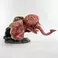 PureArts Resident Evil 2 - Licker Standard Edition Scale 1/1