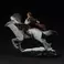 Iron Studios Harry Potter - Harry Potter and Buckbeak  Statue Deluxe Art Scale 1/10