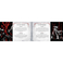 Blizzard Diablo: The Sanctuary Tarot Deck and Guidebook