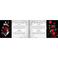 Blizzard Diablo: The Sanctuary Tarot Deck and Guidebook