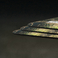World of Tanks mousepad, The Winged Warriors, M