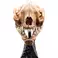 Weta Workshop The Lord of the Rings Trilogy- Miniature Skull of a Warg