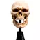 Weta Workshop The Lord of the Rings - Miniature Skull of a Mordor Orc