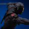 Iron Studios G.I.Joe - Snake Eyes Art Scale 1/10