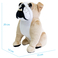 WP Merchandise - Peluche Bulldog Biscuit