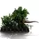 Iron Studios Jurassic Park- T-Rex Chase Demi Art Scale 1/20