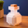 Collezione Noble Minecraft - Bottiglia di pozione