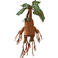 Collezione Noble Harry Potter - Peluche elettronico Mandrake