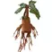 Noble Collection HARRY POTTER - Mandrake Electronic Interactive Plush toy