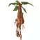 Noble Collection HARRY POTTER - Mandrake Electronic Interactive Plush toy