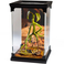 Noble Collection Phantastische Tierwesen - Magische Kreaturen Nr. 2 Bowtruckle Figur