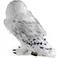 Noble Collection Harry Potter - Hedwig Collector Plush 30.4cm