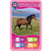 Winning Moves Top Trumps - Pferde & Einhorn Karten Standard Tuck Box Mehrsprachig