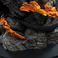 Weta Workshop The Lord of the Rings - The Balrog Demon Of Shadow And Flame Statue 1/6 scale