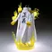 One Piece the shukko logia-Borsalino-special edition