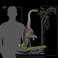 Welcome to the Jurassic Park 